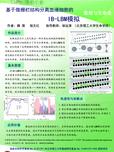 基于微栅栏结构分离血液细胞的IB-LBM模拟