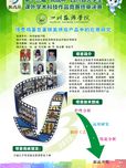 绿壳鸡蛋蛋糕的开发初探