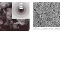 纳微晶核壳结构SnNi合金储锂材料合成及电化学性能研究