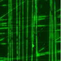 离心静电纺丝法制备有序、交叉及绞线结构的荧光纳米纤维