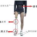 多关节智能人工下肢的设计及研究
