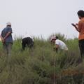 黄土丘陵沟壑区退耕地的植物群落多样性研究--以陕北清涧县为例