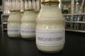 嗜酸乳杆菌羊奶酸奶产品加工技术的研究