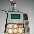 谐振式禽蛋新鲜度检测仪