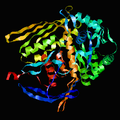 应用酵母双杂交系统筛选龙须菜热激信号传导途径的钙调素结合蛋白